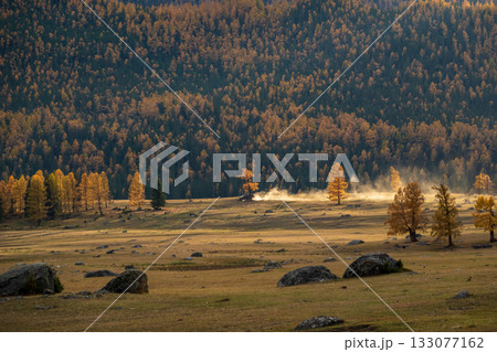 Autumn forest opens to sunlit meadow with scattered rocks and distant dust plume Autumn forest opens to sunlit meadow with scattered rocks and distant dust plume 133077162