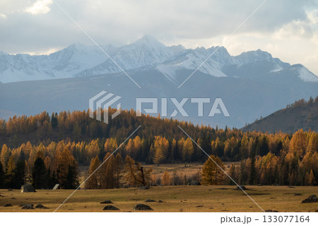 Scenic view of mountains and autumn forest with golden and green trees Scenic view of mountains and autumn forest with golden and green trees 133077164