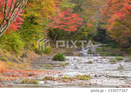 流水峡の紅葉 流水峡の紅葉 133077167