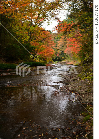 流水峡の紅葉 流水峡の紅葉 133077170