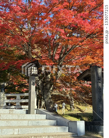 紅葉 紅葉 133077215