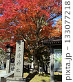 紅葉 133077218