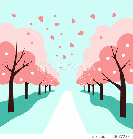 Cherry Blossom Path 133077288