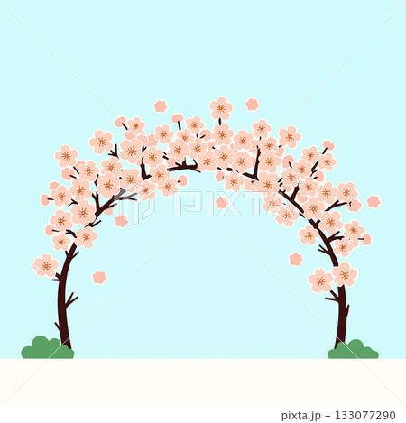 Cherry Blossom Arch 133077290