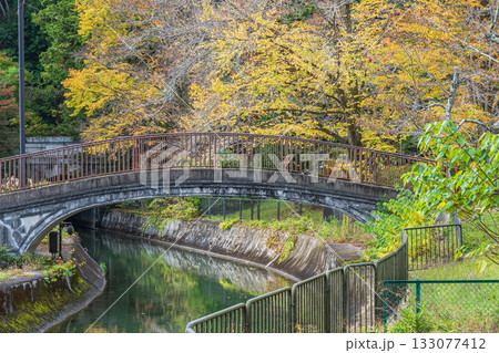 琵琶湖疏水　東山自然緑地　京都市 133077412