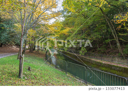 琵琶湖疏水 東山自然緑地 京都市 琵琶湖疏水 東山自然緑地 京都市 133077413