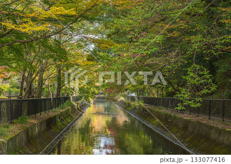 琵琶湖疏水　東山自然緑地　京都市 133077416