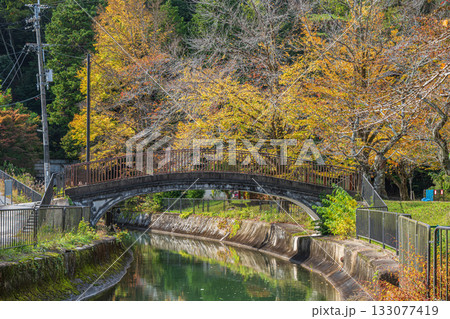 琵琶湖疏水 東山自然緑地 京都市 琵琶湖疏水 東山自然緑地 京都市 133077419