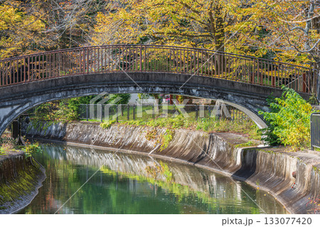 琵琶湖疏水　東山自然緑地　京都市 133077420