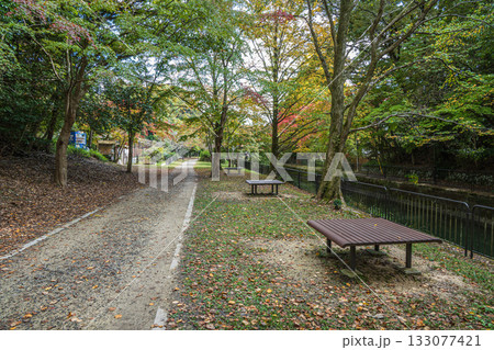 琵琶湖疏水　東山自然緑地　京都市 133077421