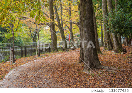 琵琶湖疏水　東山自然緑地　京都市 133077426
