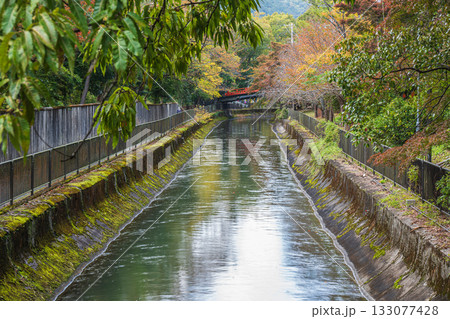 琵琶湖疏水　東山自然緑地　京都市 133077428