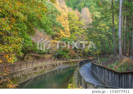 琵琶湖疏水　東山自然緑地　京都市 133077431