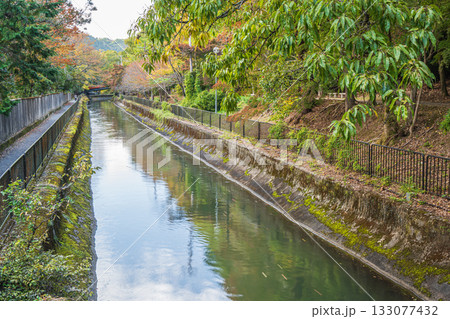 琵琶湖疏水 東山自然緑地 京都市 琵琶湖疏水 東山自然緑地 京都市 133077432