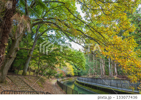 琵琶湖疏水　東山自然緑地　京都市 133077436