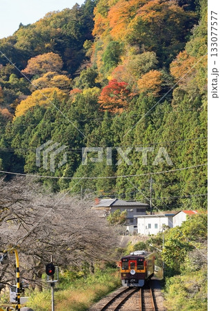 わたらせ渓谷鐵道「11月初旬の水沼駅から見た俯瞰風景」 わたらせ渓谷鐵道「11月初旬の水沼駅から見た俯瞰風景」 133077577