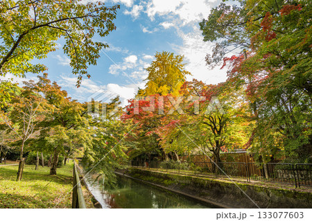 琵琶湖疏水　東山自然緑地　京都市 133077603