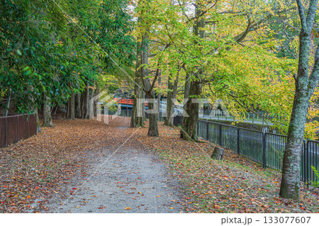 琵琶湖疏水　東山自然緑地　京都市 133077607