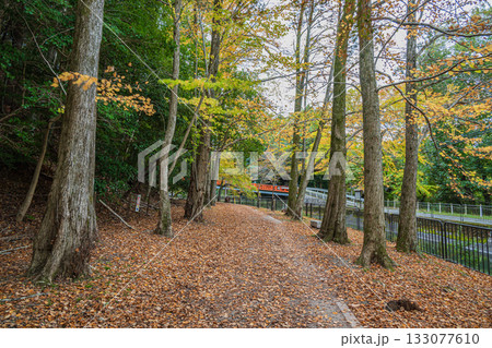 琵琶湖疏水　東山自然緑地　京都市 133077610