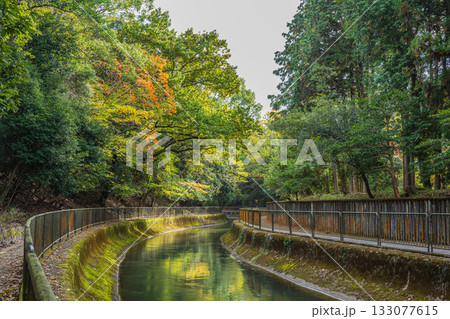 琵琶湖疏水　東山自然緑地　京都市 133077615