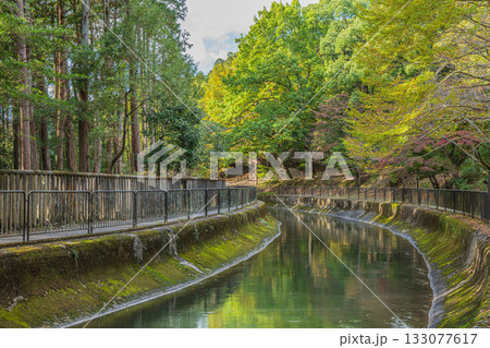 琵琶湖疏水　東山自然緑地　京都市 133077617