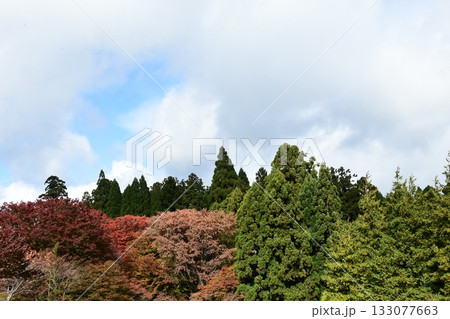 比叡山山頂と紅葉 比叡山山頂と紅葉 133077663