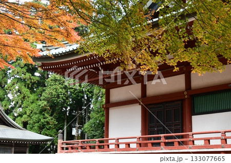 根本中堂と紅葉 根本中堂と紅葉 133077665