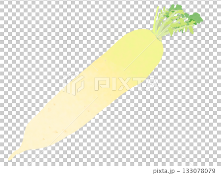 Hand drawn radish 133078079