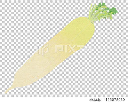 水彩畫的蘿蔔的插圖 水彩畫的蘿蔔的插圖 133078080