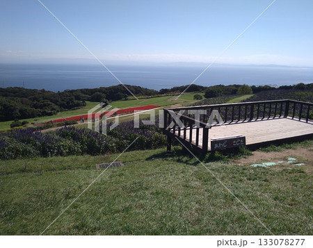 海を見下ろすベンチ 133078277