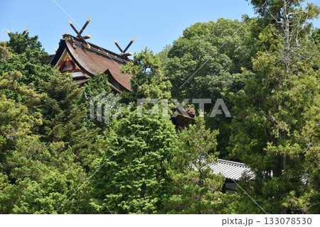 備中国一宮　吉備津神社 133078530