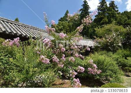 備中国一宮　吉備津神社 133078633