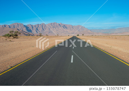 empty asphalt road Sossusvlei, Namibia 133078747