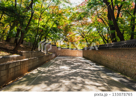 秋のソウル 昌徳宮 後苑 秋のソウル 昌徳宮 後苑 133078765