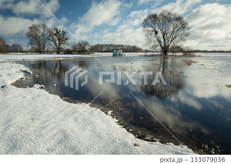 Water from melting snow in a meadow with trees Water from melting snow in a meadow with trees 133079036