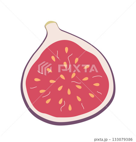 Half of figs. Slice of ripe tropical fruit. Hand-drawn colored flat vector illustration isolated on white background. Half of figs. Slice of ripe tropical fruit. Hand-drawn colored flat vector illustration isolated on white background. 133079386