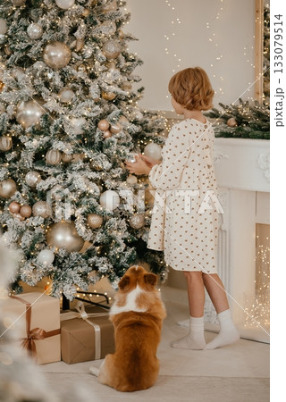 Child Admires Christmas Tree with Dog Nearby Child Admires Christmas Tree with Dog Nearby 133079514