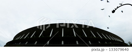 東京神宮外苑に聳え立つ新国立競技場 133079640