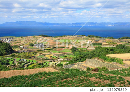 【長崎県】雲仙の南串山棚畑展望台から見た棚畑 【長崎県】雲仙の南串山棚畑展望台から見た棚畑 133079839