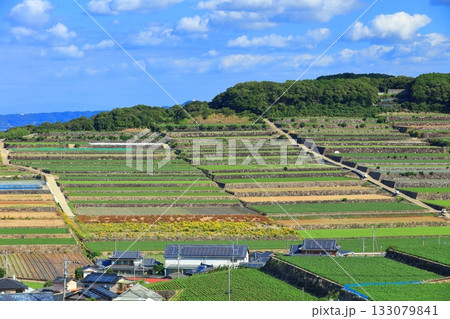 【長崎県】雲仙の南串山棚畑展望台から見た棚畑 133079841