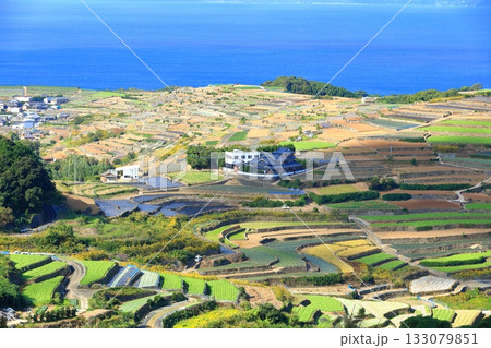 【長崎県】雲仙の南串山棚畑展望台から見た棚畑 【長崎県】雲仙の南串山棚畑展望台から見た棚畑 133079851