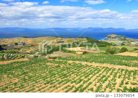 【長崎県】雲仙の南串山棚畑展望台から見た棚畑 【長崎県】雲仙の南串山棚畑展望台から見た棚畑 133079854