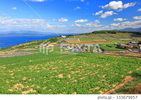 【長崎県】雲仙の南串山棚畑展望台から見た棚畑 【長崎県】雲仙の南串山棚畑展望台から見た棚畑 133079857