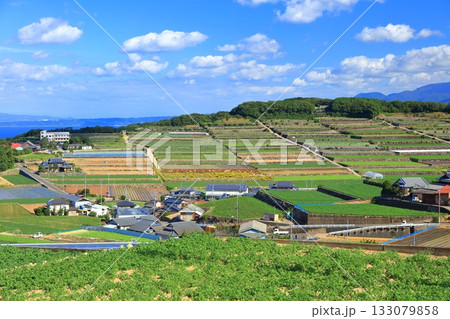 【長崎県】雲仙の南串山棚畑展望台から見た棚畑 133079858