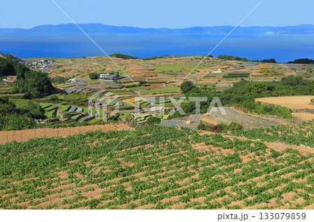 【長崎県】雲仙の南串山棚畑展望台から見た棚畑 133079859
