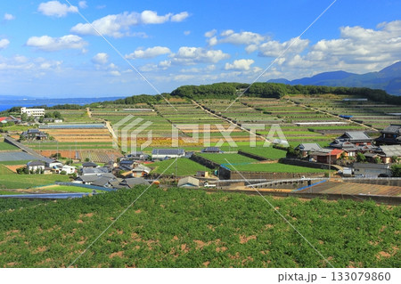 【長崎県】雲仙の南串山棚畑展望台から見た棚畑 【長崎県】雲仙の南串山棚畑展望台から見た棚畑 133079860