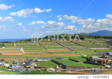 【長崎県】雲仙の南串山棚畑展望台から見た棚畑 133079861