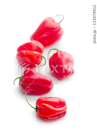 Red chili pepper habanero isolated on white background. Red chili pepper habanero isolated on white background. 133079912
