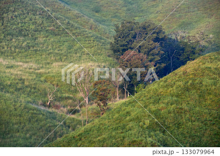 砥峰高原の朝の風景 砥峰高原の朝の風景 133079964