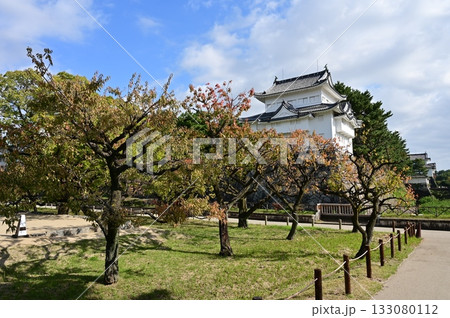 西南隅櫓と梅の紅葉（名古屋城） 133080112